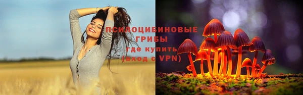 каннабис Верея