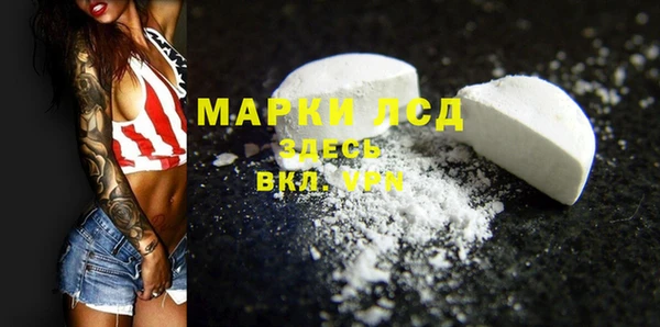 гашик Каменногорск