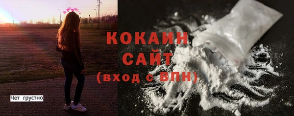 гашик Белокуриха