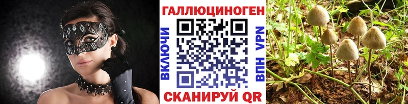 Псилоцибиновые грибы мицелий даркнет наркотические препараты Новосокольники
